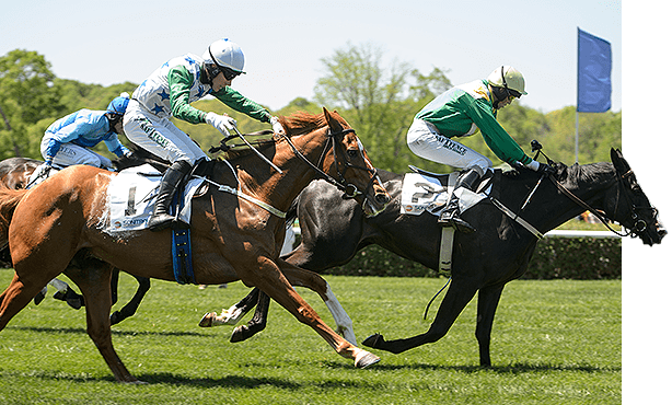 About Steeplechasing The Queen s Cup Steeplechase